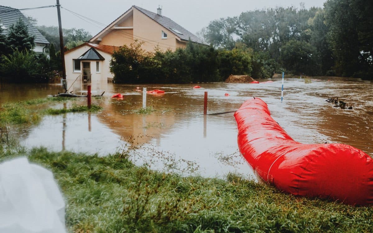 Plancher de bois franc retiré dans un sous-sol après un dégât d'eau, avec déshumidificateur en marche